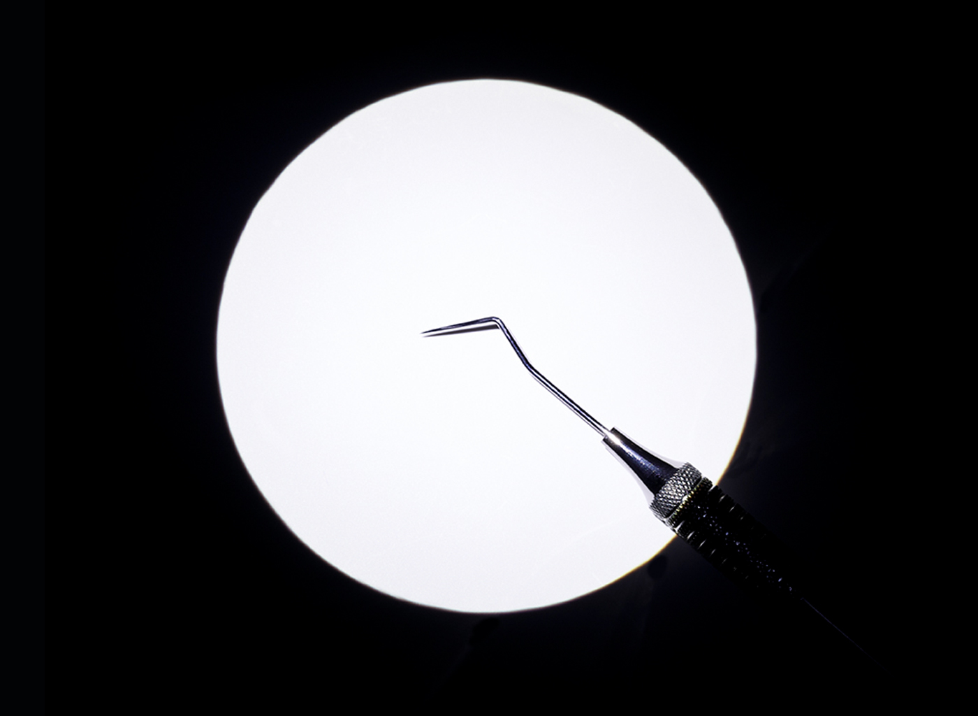 2023 11 TL Beam Intense TL Page